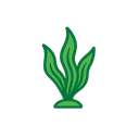 Kelps Logo